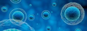 Grundlagenseminar - München - 9 November 2019 @ München | München | Bayern | Deutschland