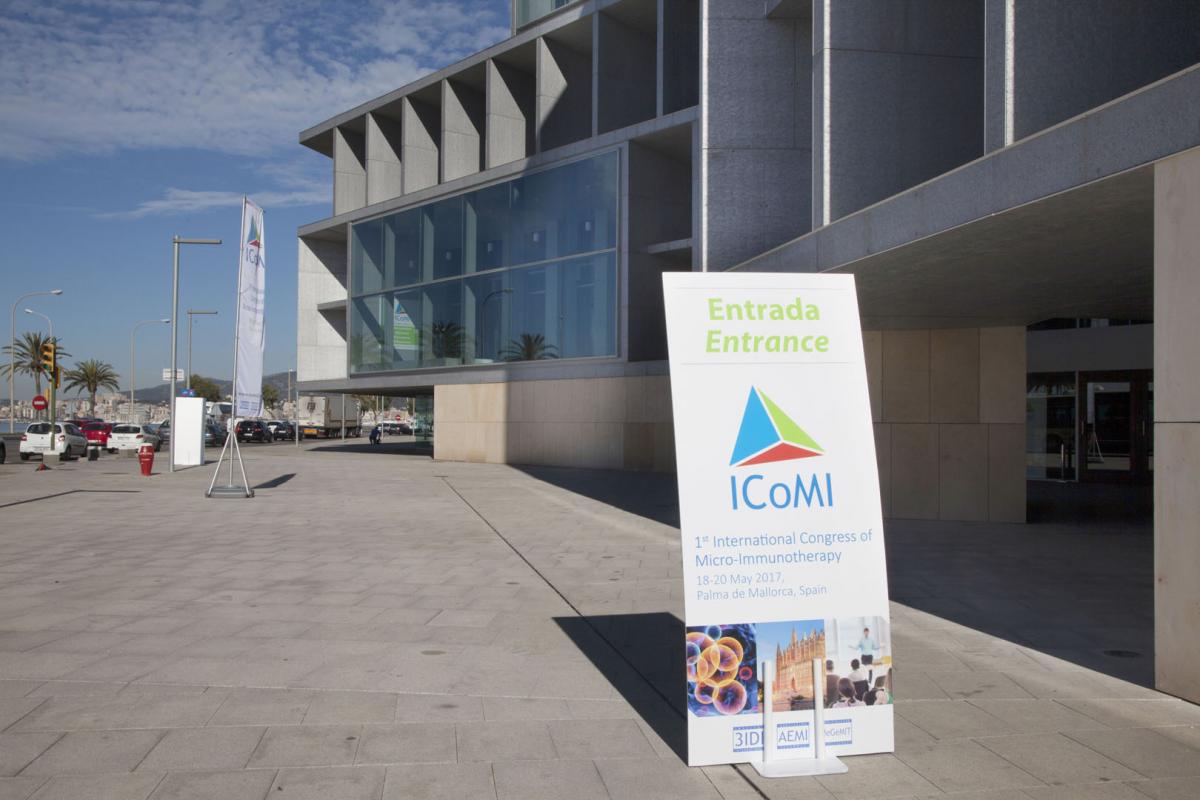 IComi 2017