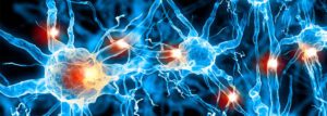 Fachseminar Psycho-Neuro-Immunologie - München - 14. September 2019 @ München | Bayern | Deutschland
