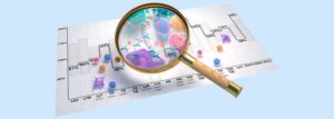 Aufbauseminar 1: Labordiagnostik und ihre praktische Anwendung - 16. Mai 2020 - Düsseldorf @ Düsseldorf | Nordrhein-Westfalen | Deutschland