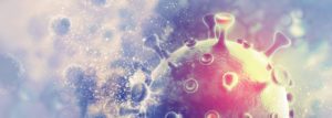 Aufbau-Seminar A2: Virusinfektionen und Chronische Krankheiten - 09. Mai 2020 - Leipzig @ Leipzig | Sachsen | Deutschland