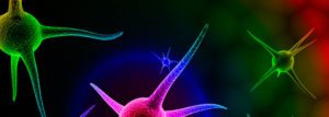 Grundlagenseminar mit Schwerpunktthemen: Burn-Out & Silent Inflammation - Zürich - 07. Dezember 2019 @ Zürich | Zürich | Schweiz
