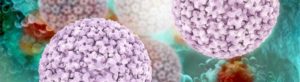 Tagesseminar: Mikroimmuntherapie: EBV und andere Herpesviren - die verborgene Epidemie - Gröbming - 7. September 2019 @ Gröbming | Steiermark | Österreich